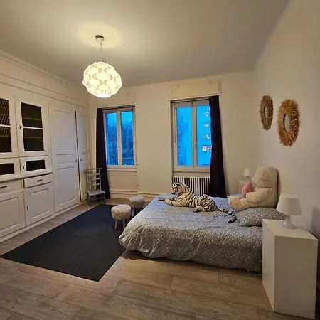 Maison De Maitre A Koenigshoffen Villa