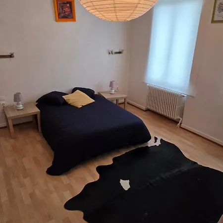 Villa Maison De Maitre A Koenigshoffen Strasbourg