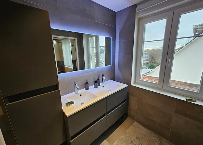 Villa Maison De Maitre A Koenigshoffen Strasbourg