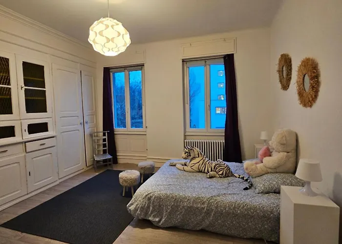 Maison De Maitre A Koenigshoffen Villa